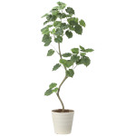 光触媒 人工観葉植物 造花 ツイストウンベラータ1.9(組立式) (高さ190cm) (2494A500)