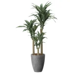光触媒 人工観葉植物 造花 ナチュラル幸福の木1.65 (高さ165cm) (2502R660)