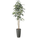光触媒 人工観葉植物 造花 スリムパキラ1.8 (高さ180cm) (2508A360)