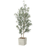 光触媒 人工観葉植物 造花 インテリアオリーブ1.8 (高さ180cm) (2510A580)