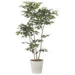 光触媒 人工観葉植物 造花 デザインベンジャミン1.8 (高さ180cm) (2514A450)