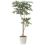 光触媒 人工観葉植物 造花 デザインベンジャミン1.6 (高さ160cm) (2516A350)