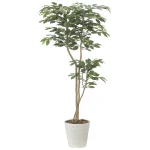 光触媒 人工観葉植物 造花 デザインベンジャミン1.6 (高さ160cm) (2516A350)