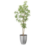 光触媒 人工観葉植物 造花 インテリアフレッシュアセビ1.7 (高さ170cm) (2520A350)