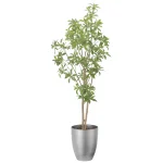 光触媒 人工観葉植物 造花 インテリアフレッシュアセビ1.7 (高さ170cm) (2520A350)