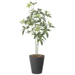 光触媒 人工観葉植物 造花 フレッシュパキラ95 (高さ95cm) (2525A100)