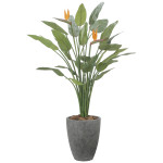 光触媒 人工観葉植物 造花 ナチュラルストレチア花付1.7 (高さ170cm) (2526A800)