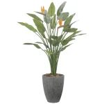 光触媒 人工観葉植物 造花 ナチュラルストレチア花付1.7 (高さ170cm) (2526A800)