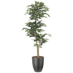 光触媒 人工観葉植物 造花 インテリアベンジャミン1.6 (高さ160cm) (2527A380)