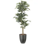 光触媒 人工観葉植物 造花 インテリアベンジャミン1.6 (高さ160cm) (2527A380)