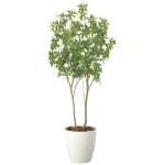 光触媒 人工観葉植物 造花 フレッシュアセビ1.8 (高さ180cm) (2528A500)