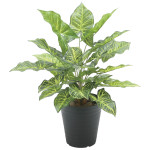 光触媒 人工観葉植物 造花 フレッシュシンゴニューム (高さ48cm) (2534A60)