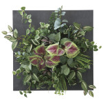 光触媒 人工観葉植物 造花 ウオールタイプコリウス45 (高さ45cm) (2557A200)