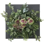 光触媒 人工観葉植物 造花 ウオールタイプコリウス45 (高さ45cm) (2557A200)