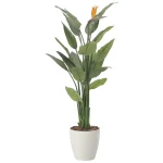 光触媒 人工観葉植物 造花 ストレチア花付1.5 (高さ150cm) (2565A500)