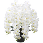 光触媒 人工観葉植物 造花 フレッシュロング胡蝶蘭7本立W (高さ90cm) (2578A500)