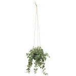 光触媒 人工観葉植物 造花 プミラハンギング (高さ110cm) (2583A150)