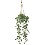 光触媒 人工観葉植物 造花 フィロハンギング (高さ100cm) (2584A100)