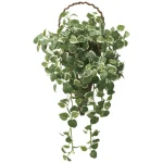 光触媒 人工観葉植物 造花 壁掛けプミラ (高さ48cm) (2585A95)