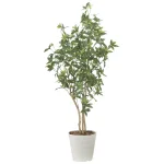 光触媒 人工観葉植物 造花 デラックスフレッシュパキラ1.6 (高さ160cm) (2601A480)