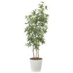 光触媒 人工観葉植物 造花 デラックスフレッシュパキラ1.8 (高さ180cm) (2602A550)