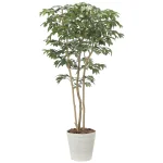 光触媒 人工観葉植物 造花 デラックスアルデシア(万両)1.8 (高さ180cm) (2603A500)