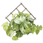 光触媒 人工観葉植物 造花 壁掛けフレッシュマーブルポトス (高さ30cm) (2604A55)