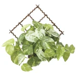 光触媒 人工観葉植物 造花 壁掛けフレッシュマーブルポトス (高さ30cm) (2604A55)