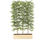 光触媒 人工観葉植物 造花 ウッドプランターライトトネリコ1.5(組立式) (高さ150cm) (2611A1300)