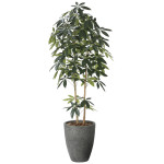光触媒 人工観葉植物 造花 ナチュラルDXパキラ1.8 (高さ180cm) (2614A650)