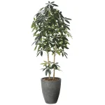光触媒 人工観葉植物 造花 ナチュラルDXパキラ1.8 (高さ180cm) (2614A650)
