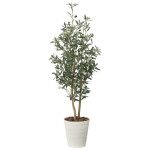 光触媒 人工観葉植物 造花 オリーブ1.35 (高さ135cm) (2615A260)