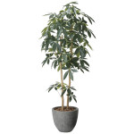 光触媒 人工観葉植物 造花 ナチュラルパキラ1.6 (高さ160cm) (2617A500)