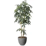 光触媒 人工観葉植物 造花 ナチュラルパキラ1.6 (高さ160cm) (2617A500)