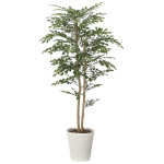 光触媒 人工観葉植物 造花 トネリコ 1.35 (高さ135cm) (2619A270)