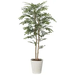光触媒 人工観葉植物 造花 トネリコ 1.35 (高さ135cm) (2619A270)