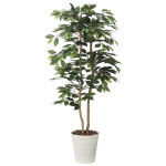 光触媒 人工観葉植物 造花 ベンジャミン1.35 (高さ135cm) (2620A220)