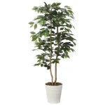 光触媒 人工観葉植物 造花 ベンジャミン1.35 (高さ135cm) (2620A220)