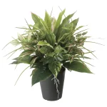光触媒 人工観葉植物 造花 ミックストラディス (高さ51cm) (2622A80)