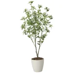 光触媒 人工観葉植物 造花 フレッシュアセビ1.65 (高さ165cm) (2627A300)