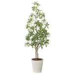 光触媒 人工観葉植物 造花 フレッシュアセビ1.35 (高さ135cm) (2628A240)