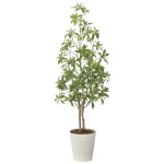 光触媒 人工観葉植物 造花 フレッシュアセビ1.35 (高さ135cm) (2628A240)
