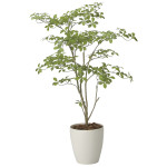 光触媒 人工観葉植物 造花 アーモンドM1.25 (高さ125cm) (2630A450)