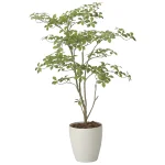 光触媒 人工観葉植物 造花 アーモンドM1.25 (高さ125cm) (2630A450)