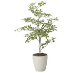 光触媒 人工観葉植物 造花 アーモンドS1.0 (高さ100cm) (2633A250)