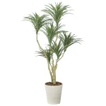 光触媒 人工観葉植物 造花 ユッカW1.3 (高さ130cm) (2637A180)