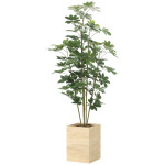 光触媒 人工観葉植物 造花 ウッドボックスカポック1.8 (高さ180cm) (2639A570)