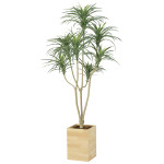 光触媒 人工観葉植物 造花 ウッドボックスユッカ1.6 (高さ160cm) (2640A470)