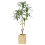 光触媒 人工観葉植物 造花 ウッドボックスユッカ1.6 (高さ160cm) (2640A470)