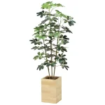 光触媒 人工観葉植物 造花 ウッドボックスカポック1.6 (高さ160cm) (2641A430)